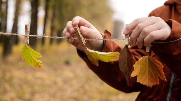 Чем заняться с детьми во время осенней прогулки? 