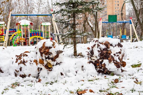 Дождались: синоптик рассказал, когда выпадет первый снег