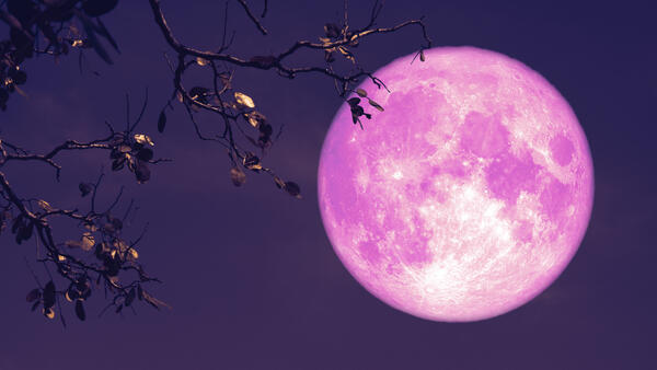 Розовая Луна перемен: знаки зодиака, жизнь которых изменится к лучшему после Полнолуния 24 апреля