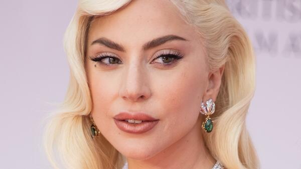 Полмиллиона долларов за собак: Леди Гага предъявили серьезное обвинение