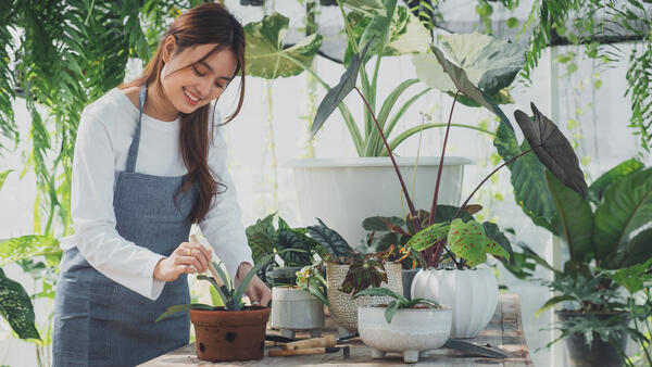 ���&nbsp; ������� ��������� ��� �������� �������� ������ ������