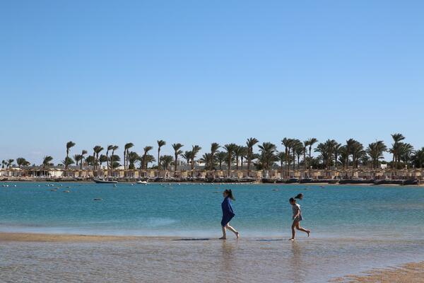 Назад, в 2010-й: власти Египта закрывают пляжи из-за смертельной опасности