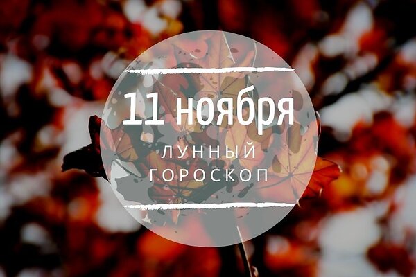    11 , 