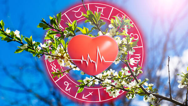 Овнам&nbsp; — контроль, Тельцам — покой: гороскоп здоровья на апрель 2026 года для всех знаков