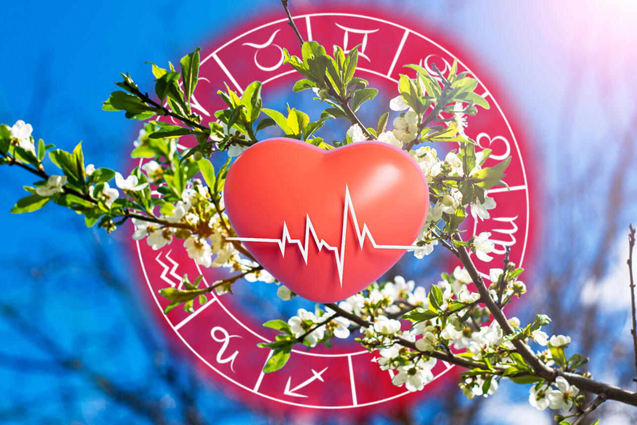 Овнам — контроль, Тельцам — покой: гороскоп здоровья на апрель 2026 года для всех знаков