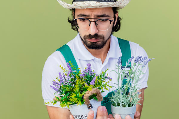 Чтобы не посыпать голову пеплом: в каких случаях удобрение золой может погубить растения