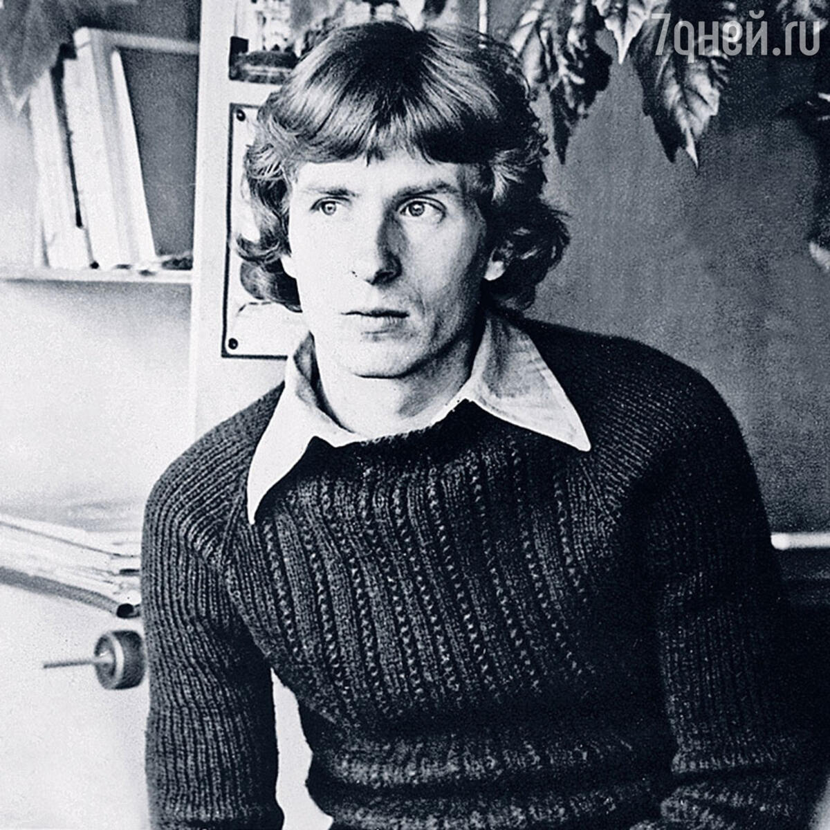 Ndiv дуали секс в яворов