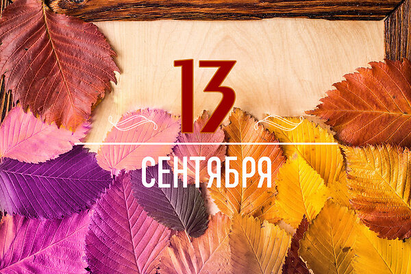       13  