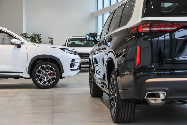 Это должно было случится: эксперты рассказали о печальной ситуации в автосалонах