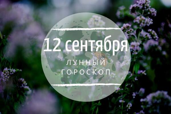    12 , 