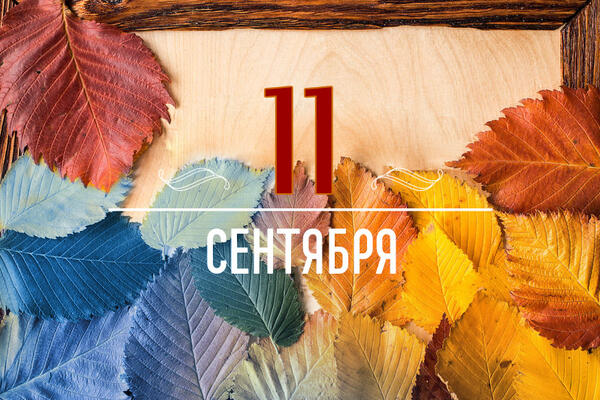      11  