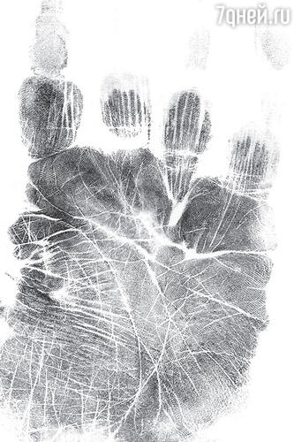 Рис. 1