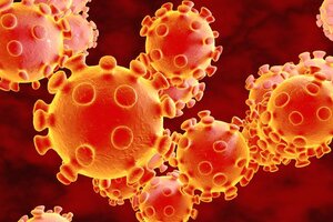 Ученые определили, в какой период коронавирус наиболее заразен