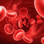 Роль железа в крови: вся правда о «железном здоровье»