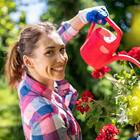 ����� ��������: ���-15 ������ �������� ����� ��� ���� � AliExpess