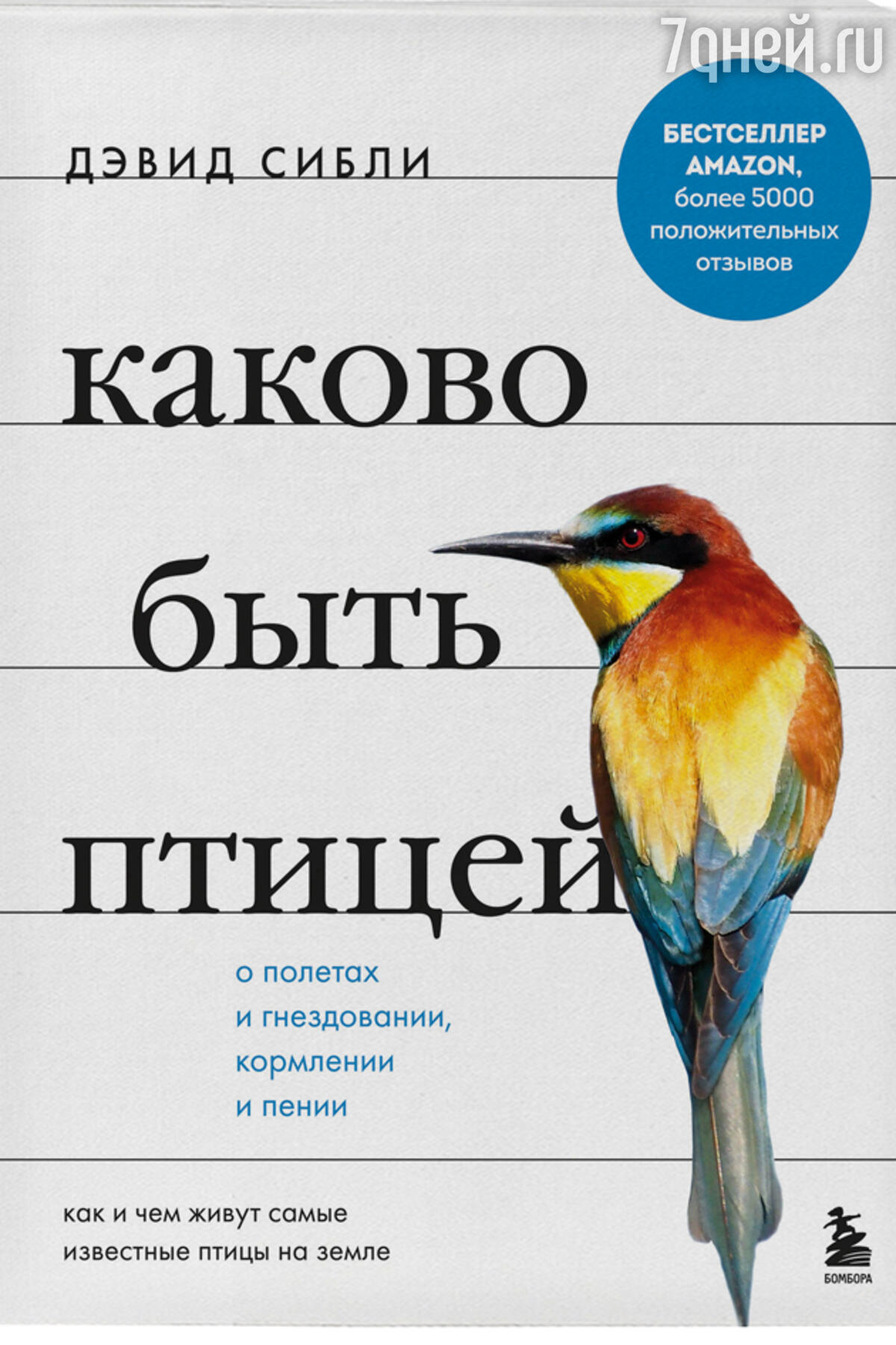 ТОП-5 увлекательных книг о птицах - 7Дней.ру