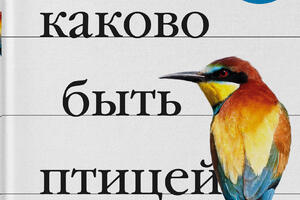 ТОП-5 увлекательных книг о птицах