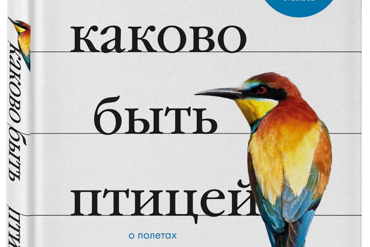 Обучающая книжка «Птицы», 18 птиц