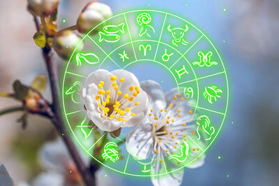 Овны разбогатеют, а Водолеи изменят все: гороскоп для всех знаков зодиака с 1 по 15 апреля