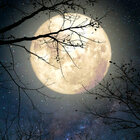 ���������� � ������ 2022 ����: 5 ���, ������� ����� ������ ������� � ������ ������ ����