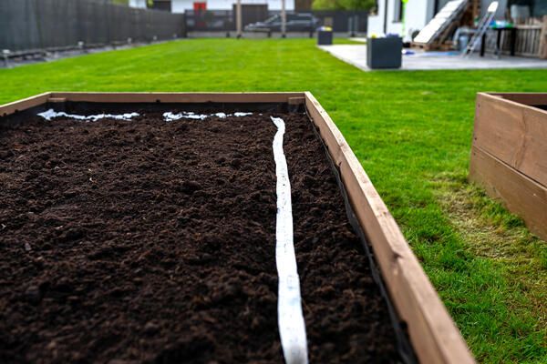 Как заставить огород плодоносить до ноября — грядки будут зеленеть и в мороз