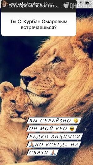 "Сторис" Анастасии Куряшовой "Сторис" Анастасии Куряшовой