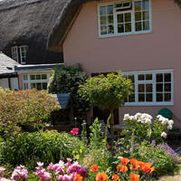 7 приспособлений для пожилых дачников, которые облегчат им работу в огороде