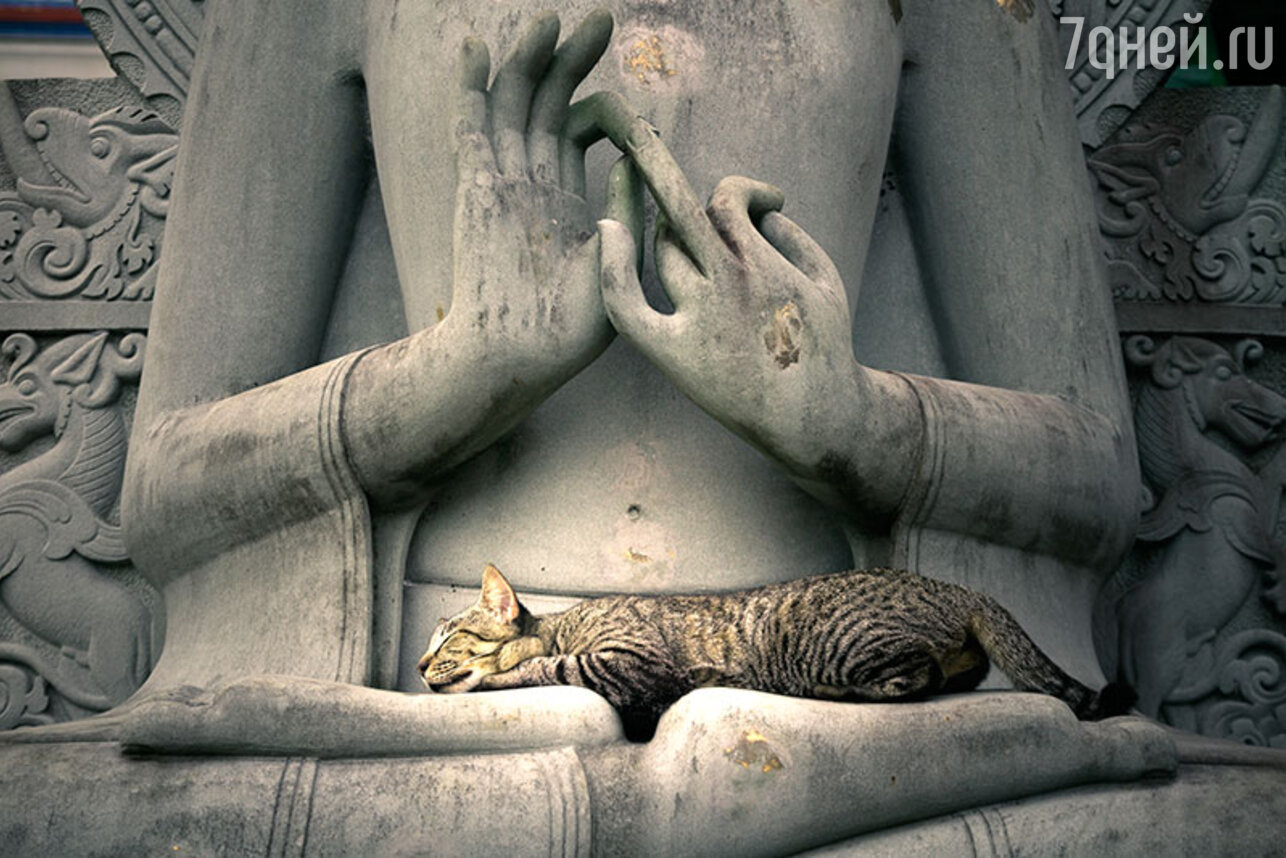 Буддийская сексуальная этика: основные вопросы — Study Buddhism