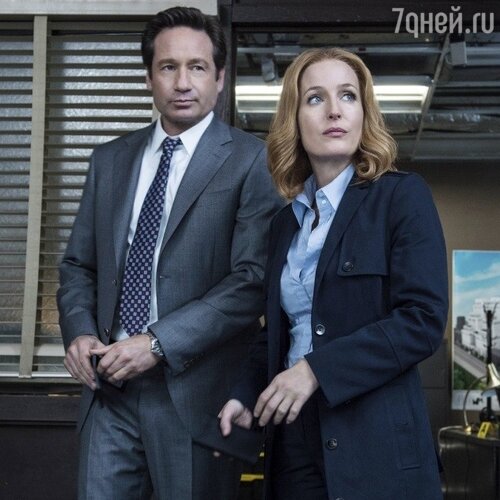  Джиллиан Андерсон и Дэвид Духовны в сериале «Секретные материалы»


