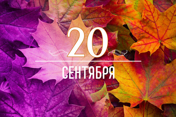       20  