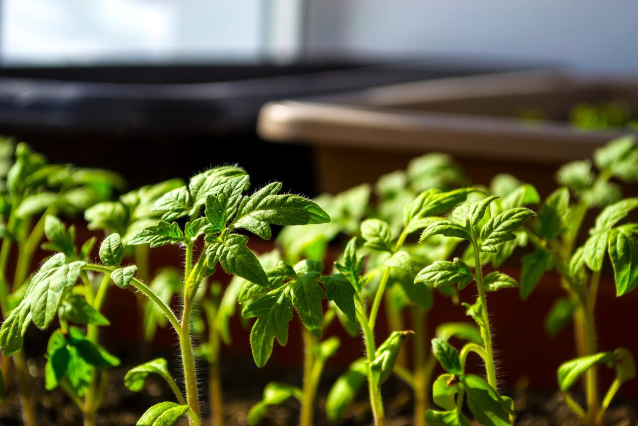 В&laquo;РЎРїР&deg;СЃР&deg;С&sbquo;Р&micro;Р&raquo;СЊРЅР&deg;СЏ РѕРїР&micro;СЂР&deg;С&dagger;РёСЏВ&raquo;: 6 СЃР&micro;РєСЂР&micro;С&sbquo;РѕРІ, С&Dagger;С&sbquo;РѕР&plusmn;С&lsaquo; СЂР&deg;СЃСЃР&deg;РґР&deg; С&sbquo;РѕРјР&deg;С&sbquo;РѕРІ РЅР&micro; РІС&lsaquo;С&sbquo;СЏРіРёРІР&deg;Р&raquo;Р&deg;СЃСЊ Рё РЅР&micro; Р&plusmn;РѕР&raquo;Р&micro;Р&raquo;Р&deg;