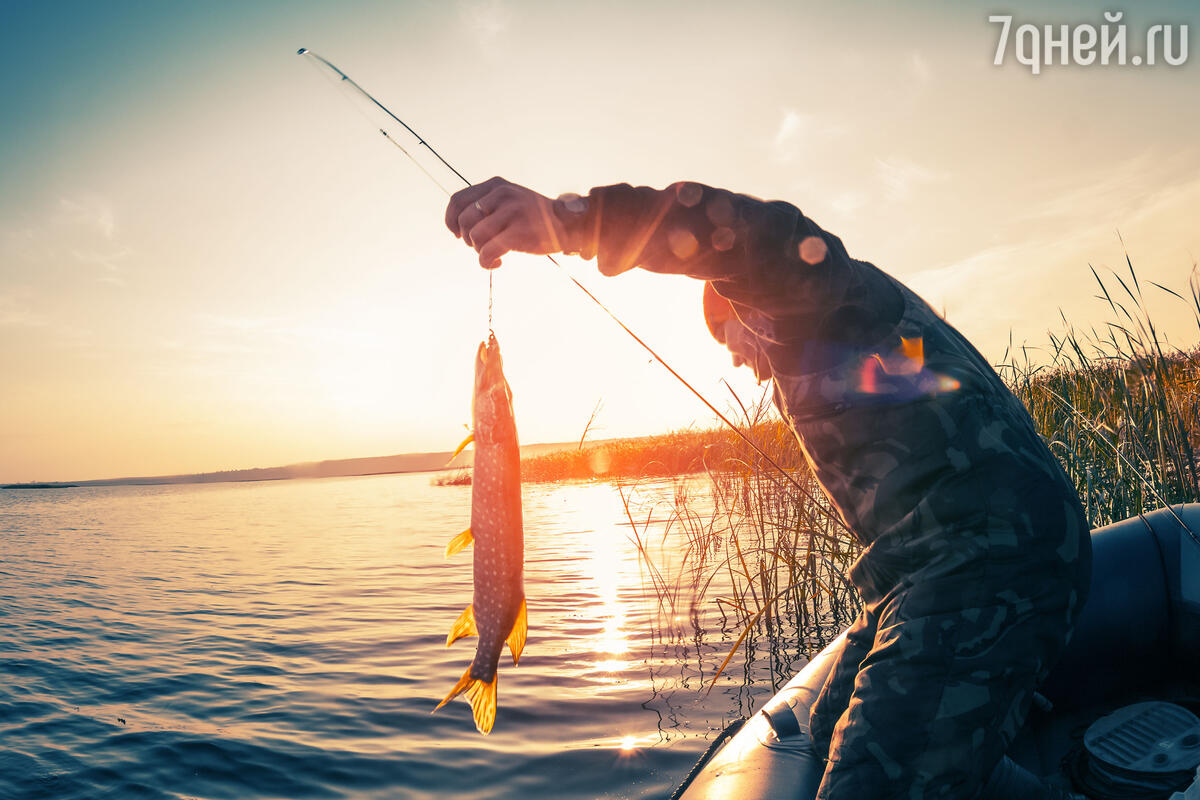 К чему снится ловить рыбу — сонник: ловить рыбу во сне | 7Дней.ру
