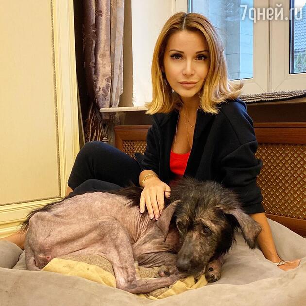 собака шена ольги орловой что с ней. Смотреть фото собака шена ольги орловой что с ней. Смотреть картинку собака шена ольги орловой что с ней. Картинка про собака шена ольги орловой что с ней. Фото собака шена ольги орловой что с ней