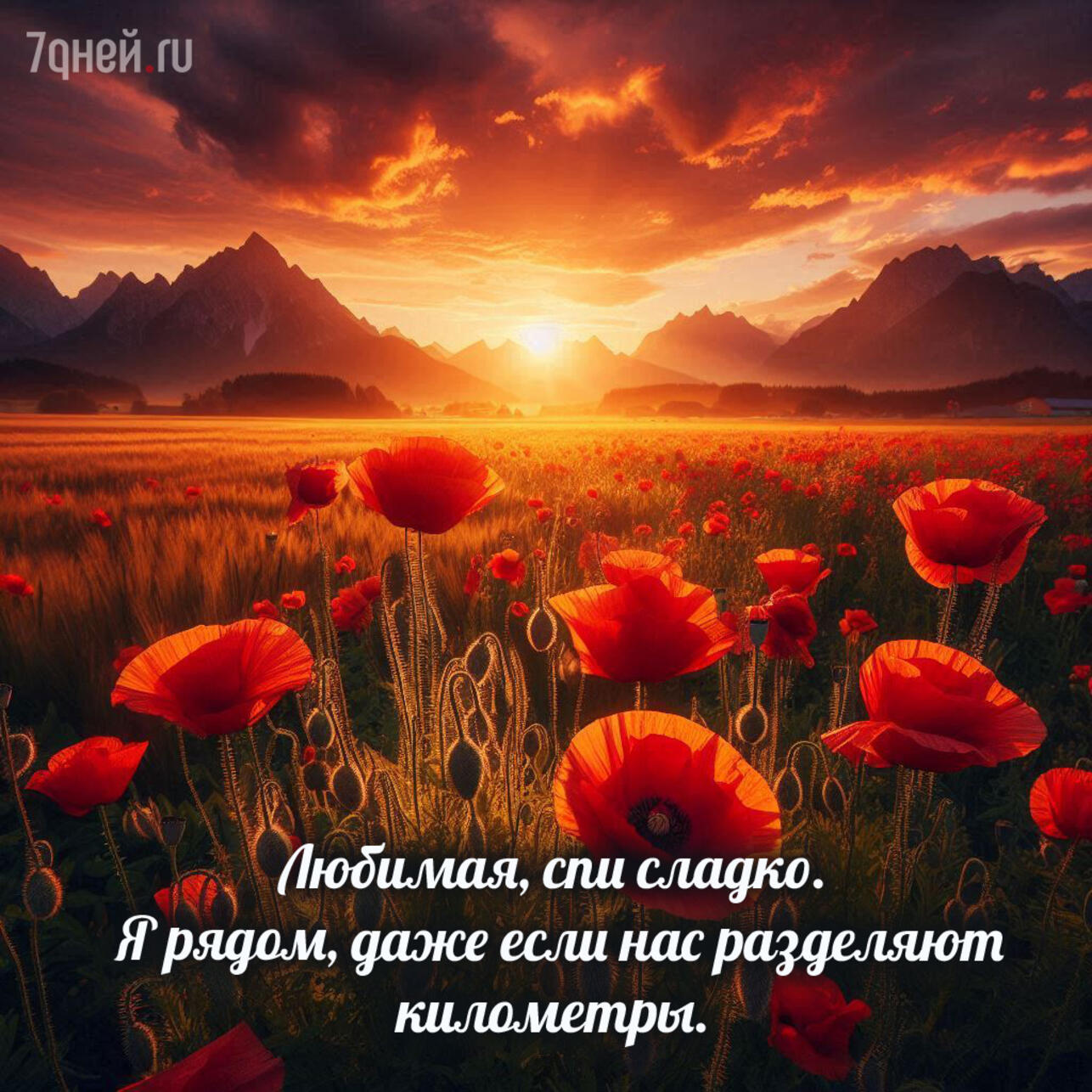 открытки спокойной ночи, картинки спокойной ночи, пожелания спокойной ночи, доброй ночи открытки, спокойной ночи для любимых, открытки перед сном, спокойной ночи скачать