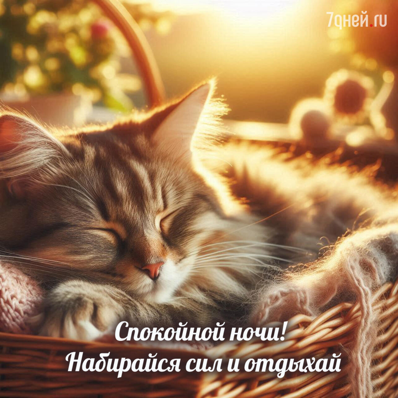 открытки спокойной ночи, картинки спокойной ночи, пожелания спокойной ночи, доброй ночи открытки, спокойной ночи для любимых, открытки перед сном, спокойной ночи скачать