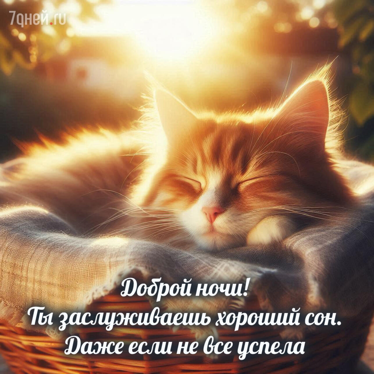 открытки спокойной ночи, картинки спокойной ночи, пожелания спокойной ночи, доброй ночи открытки, спокойной ночи для любимых, открытки перед сном, спокойной ночи скачать