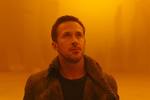          2049