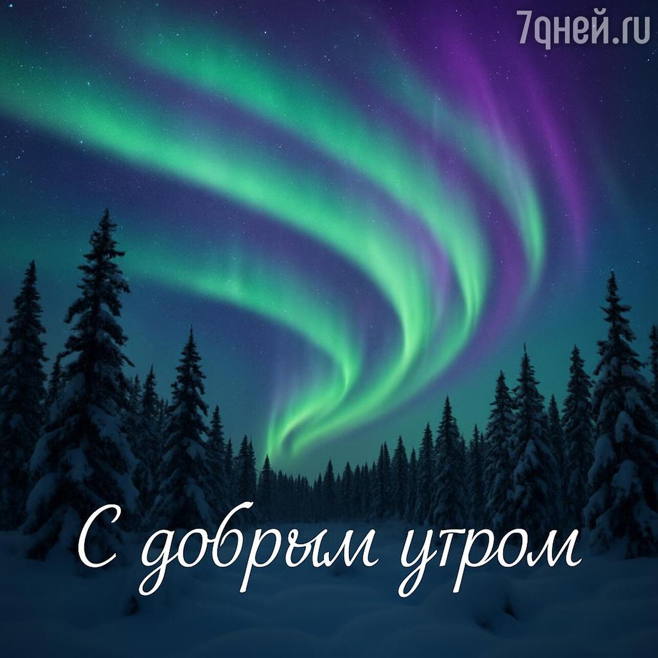 открытки с добрым утром красивые зимние, бесплатные открытки с добрым утром зимние, скачать открытку с добрым зимним утром, зимние открытки с добрым утром и хорошего, открытки с добрым утром зимним красивыми пожеланиями, открытка с добрым утром зимние хорошим настроением, открытки с добрым утром новые зимние