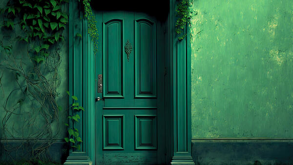 Как входная дверь влияет на вашу жизнь впустит деньги и удачу