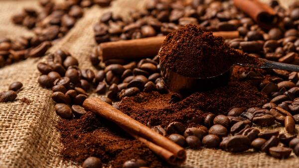 Волшебный коктейль: как заставить гортензию радовать цветением до заморозков  