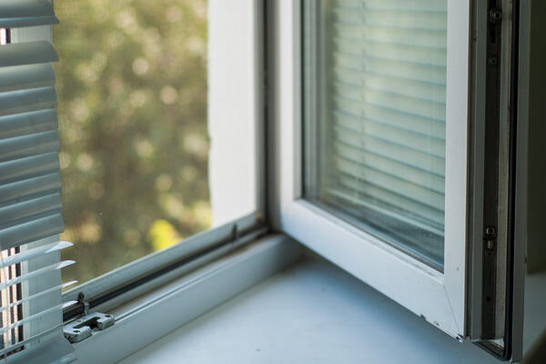 Как за две минуты отмыть окна от черной плесени — сэкономьте силы на уборке