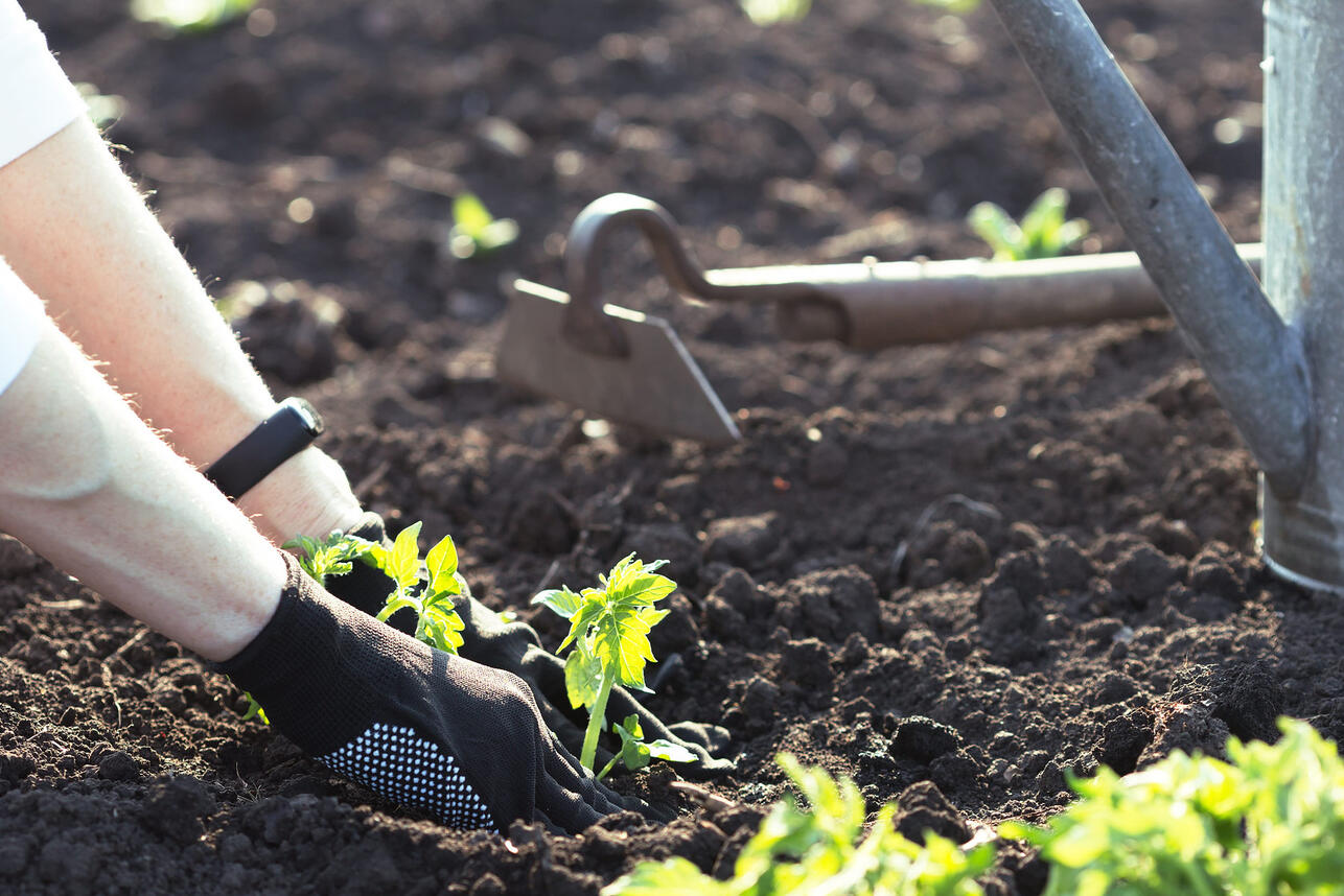 РћС&sbquo; СЂР&micro;РґРёСЃР&deg; РґРѕ СЂР&micro;РІР&micro;РЅСЏ: РїРѕР&raquo;РЅС&lsaquo;Р№ РіРёРґ, С&Dagger;С&sbquo;Рѕ РїРѕСЃР&deg;РґРёС&sbquo;СЊ РЅР&deg; РґР&deg;С&Dagger;Р&micro; РІ РєРѕРЅС&dagger;Р&micro; Р&deg;РїСЂР&micro;Р&raquo;СЏ 2026 РіРѕРґР&deg;