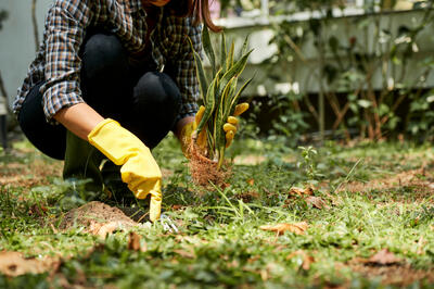 7 полезных штук для дачи своими руками — не потратите ни копейки