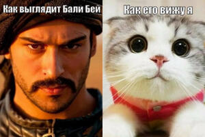 20 картинок, которые развеселят всех поклонников «Великолепного века»