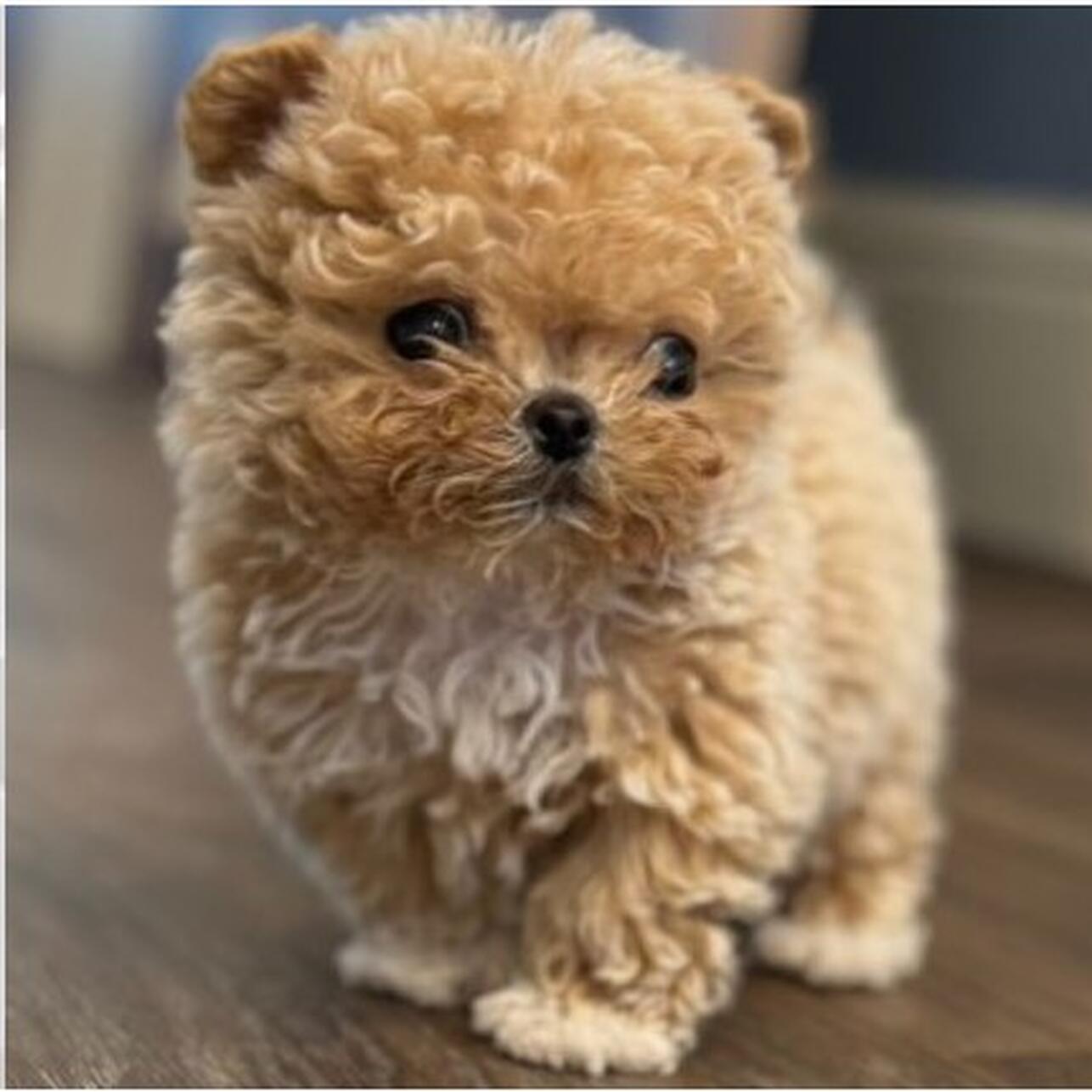 90 Р’ СЃРµРјСЊРµ Р¤РёР»РёРїРїР° РљРёСЂРєРѕСЂРѕРІР° РїРѕРїРѕР»РЅРµРЅРёРµ вЂ” РїРµРІРµС† РїРѕРєР°Р·Р°Р» РјР°Р»С‹С€Р°