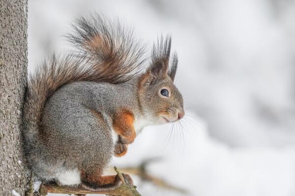 5 февраля: какой сегодня праздник?