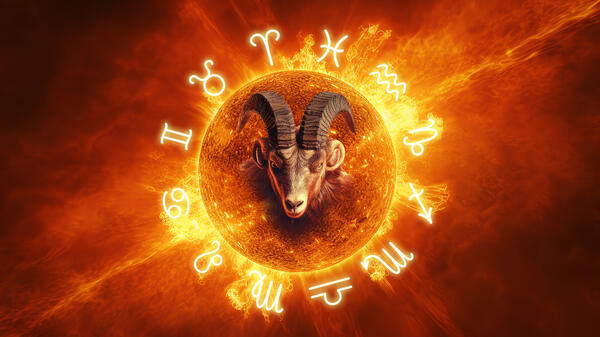 ������&nbsp; � �������� �������� ����������: ��� �� ������ ������� ������ ������� ��� � 14 ������