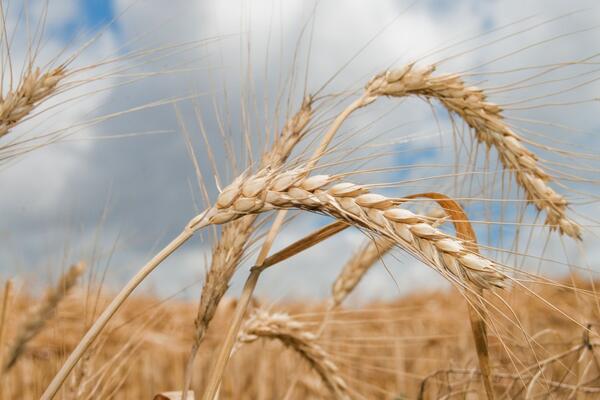 11 июня: какой сегодня праздник?