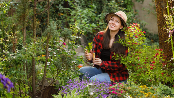 Малоуходный&nbsp; огород: что посадить на грядках, чтобы собрать урожай и не уработаться