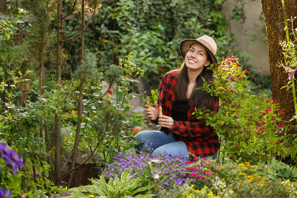 Малоуходный огород: что посадить на грядках, чтобы собрать урожай и не уработаться